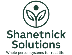 Shanetnick Solutions